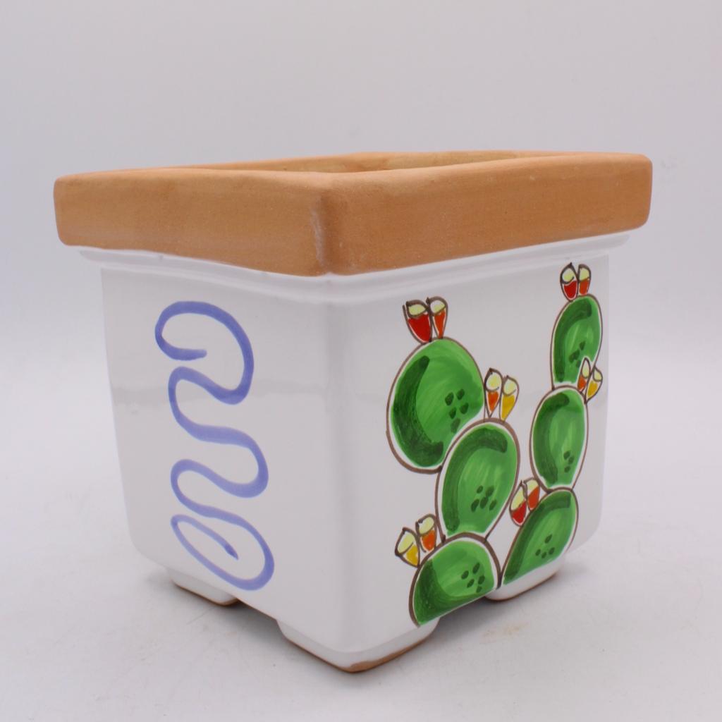 Square Prickly Pear Plant Holder