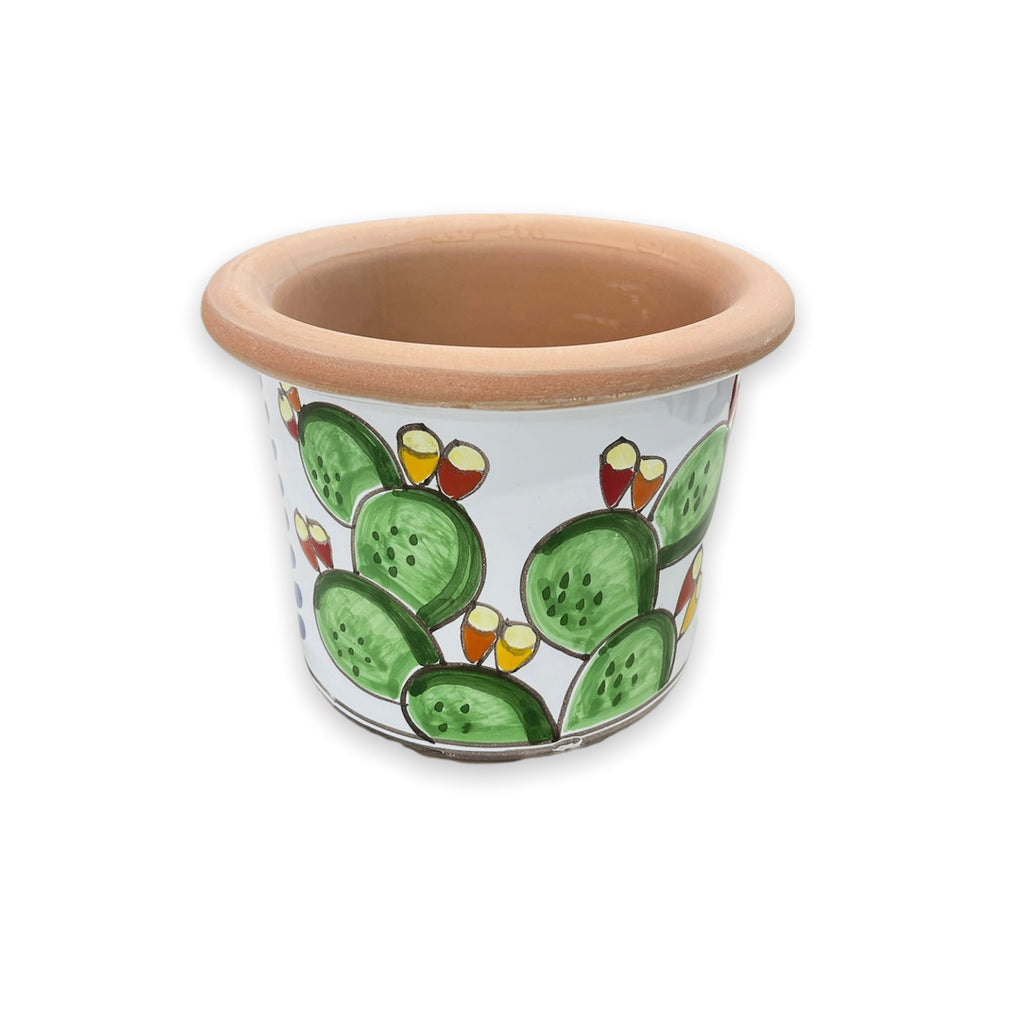Round prickly pear plant holder