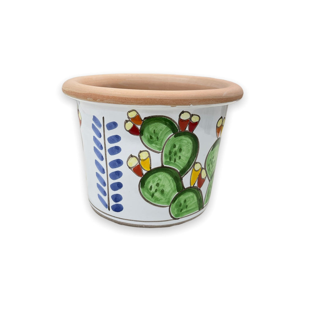Round prickly pear plant holder