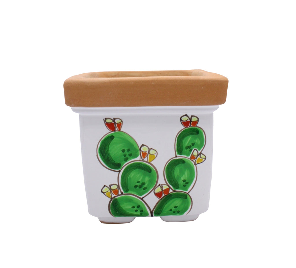 Square Prickly Pear Plant Holder
